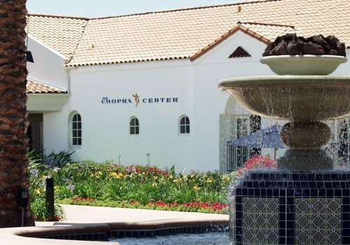 Primordial Sound Meditation Course Developers